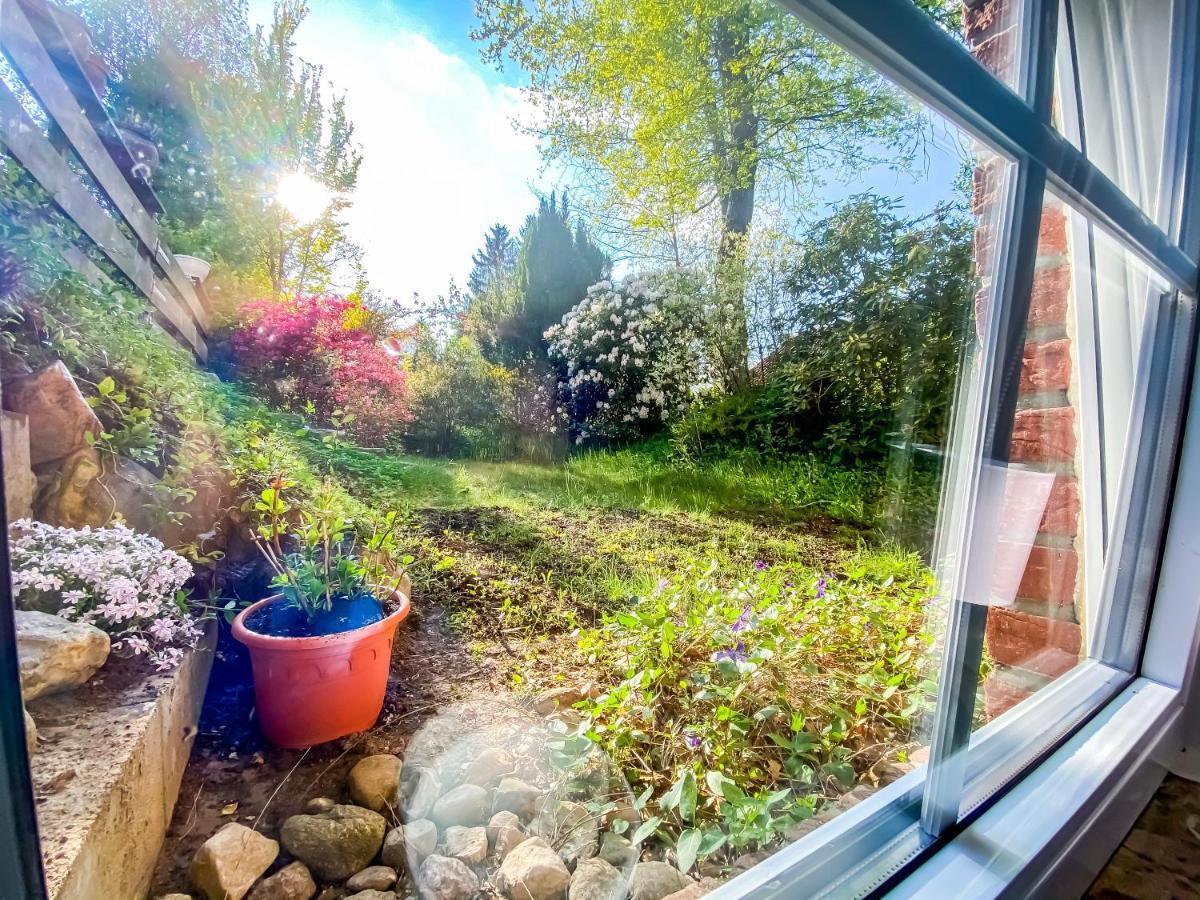 Ferienwohnung Im Sachsenwald Dassendorf Εξωτερικό φωτογραφία